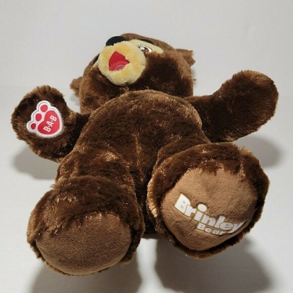 Brinley Build-A-Bear Plush Teddy Bear Great Wolf Lodge BABW 16” Retired 2019 - Picture 3 of 12